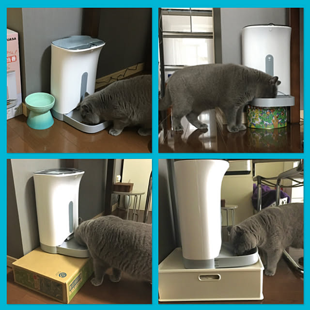 kittyさんの実例写真