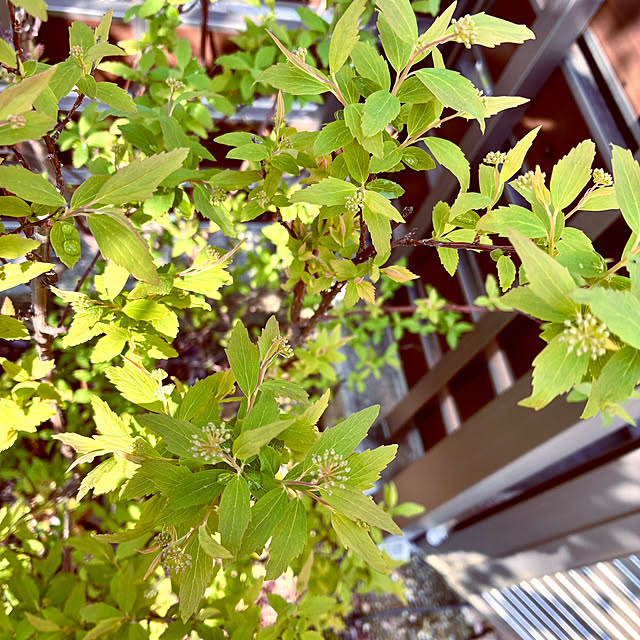 ayayayayaさんの部屋