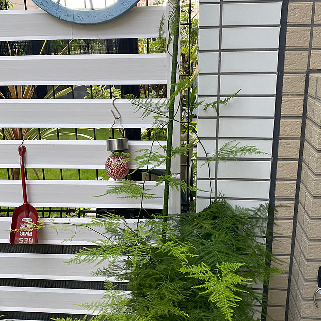 YuuKoさんの実例写真