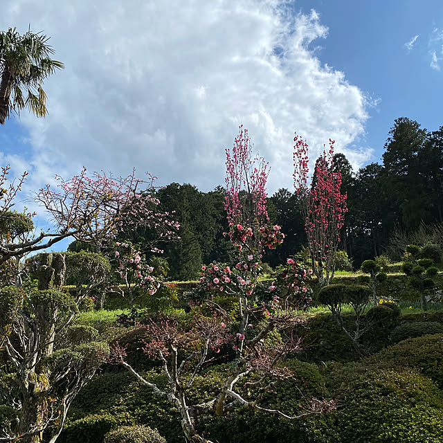 moriさんの実例写真