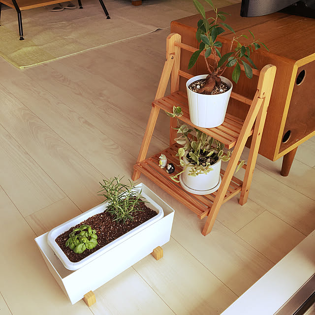 pipiさんの実例写真