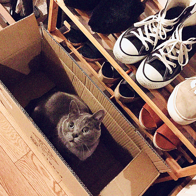 hiさんの実例写真