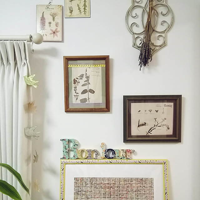 naive.coccoさんの実例写真