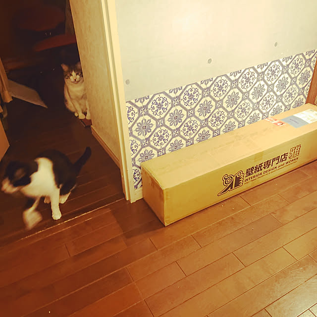 okyosan101さんの実例写真