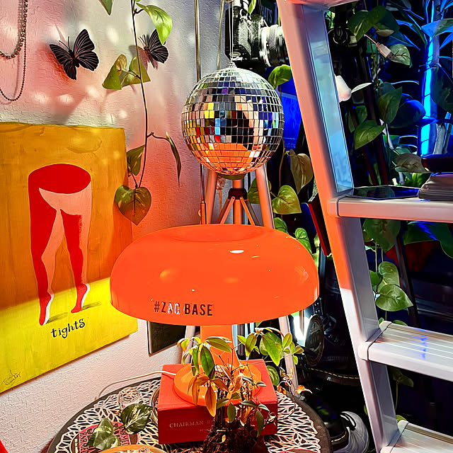 zacさんの実例写真