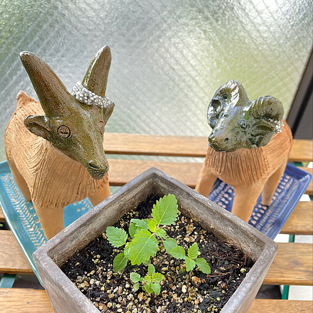 aureaさんの実例写真