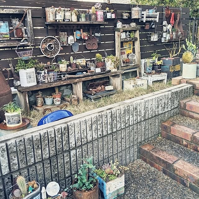 11wksさんの部屋