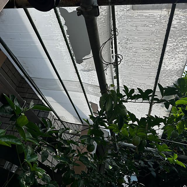 botanさんの実例写真