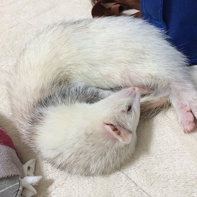 S-tさんの実例写真