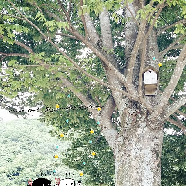 moco-mocoさんの実例写真