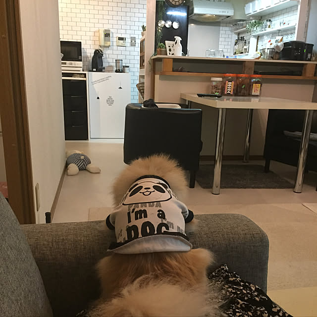 chi-さんの実例写真