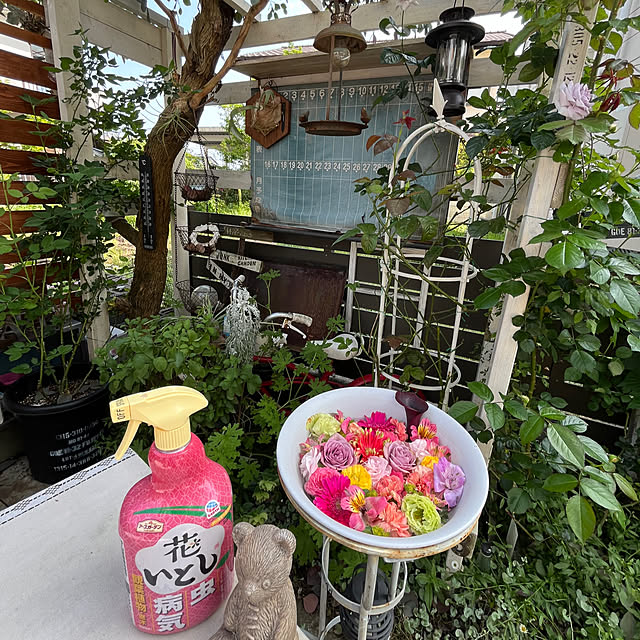 mayumiさんの部屋
