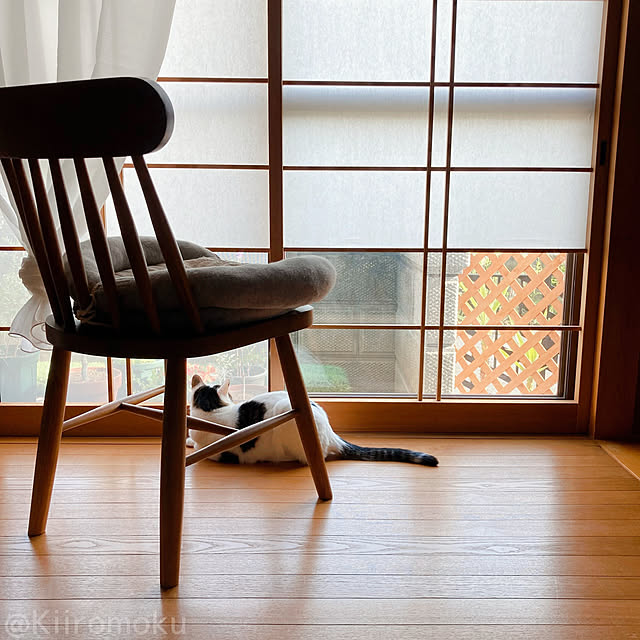 Kiiromokuさんの実例写真