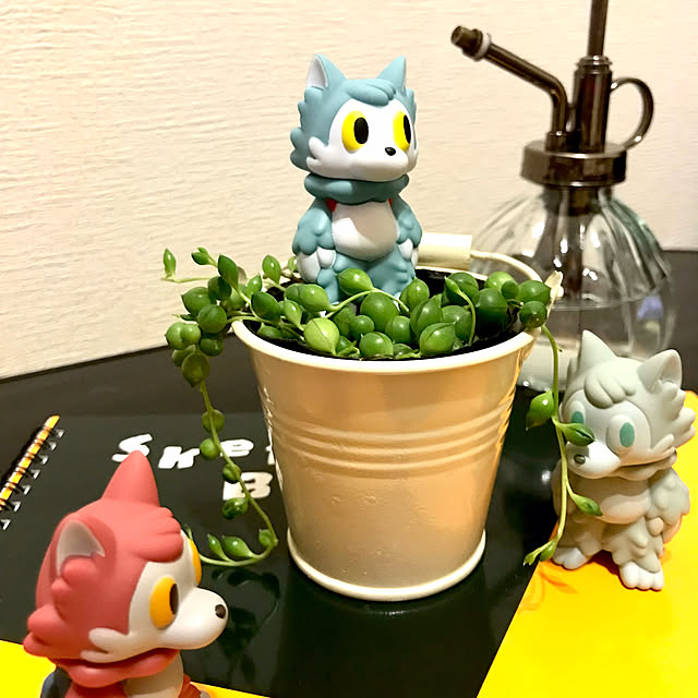 oteroさんの部屋
