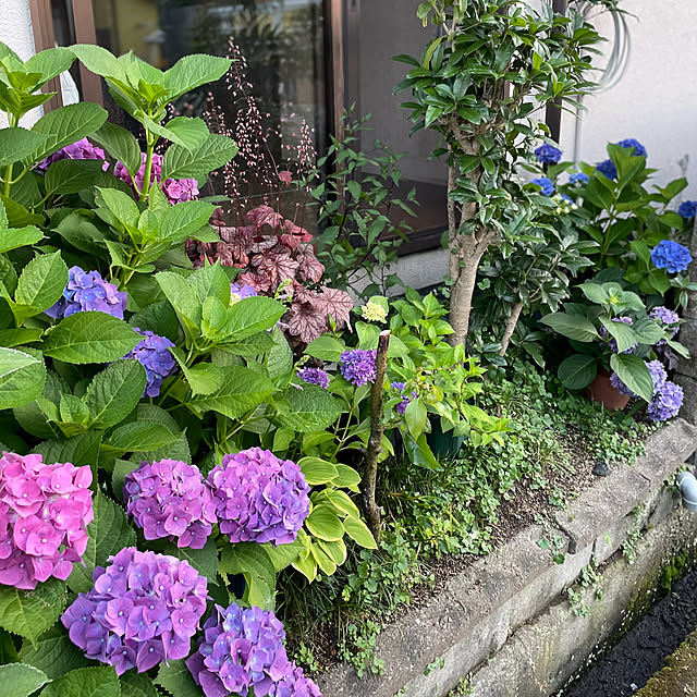 buchiさんの部屋