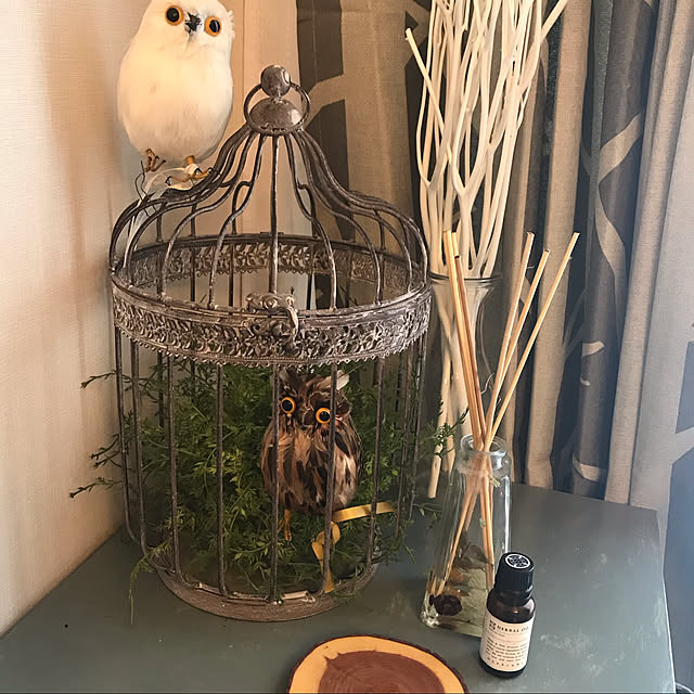 joinさんの実例写真
