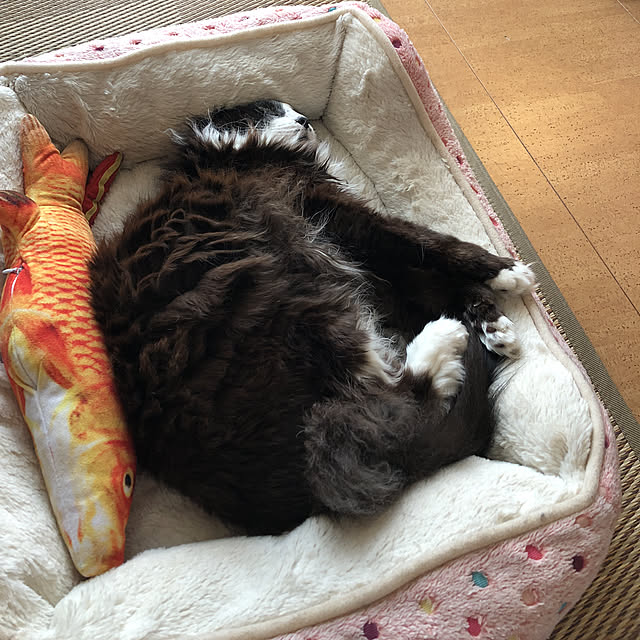 kanaさんの実例写真