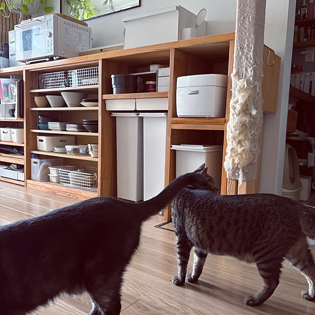 masamasaさんの部屋