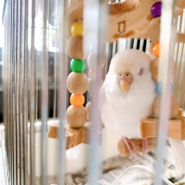 naokoさんの部屋