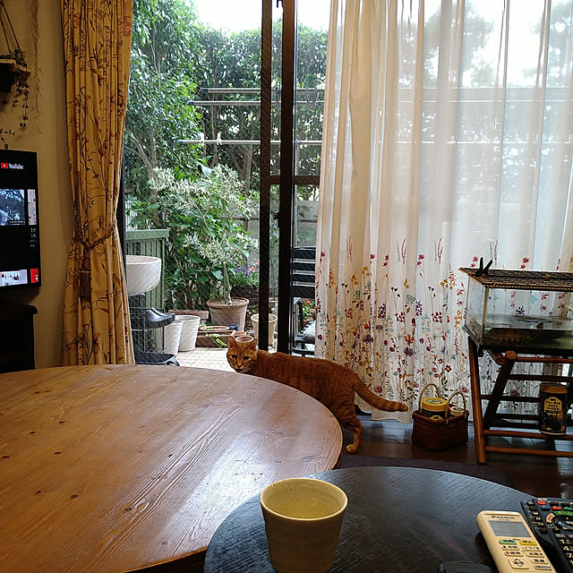 okyosan101さんの実例写真