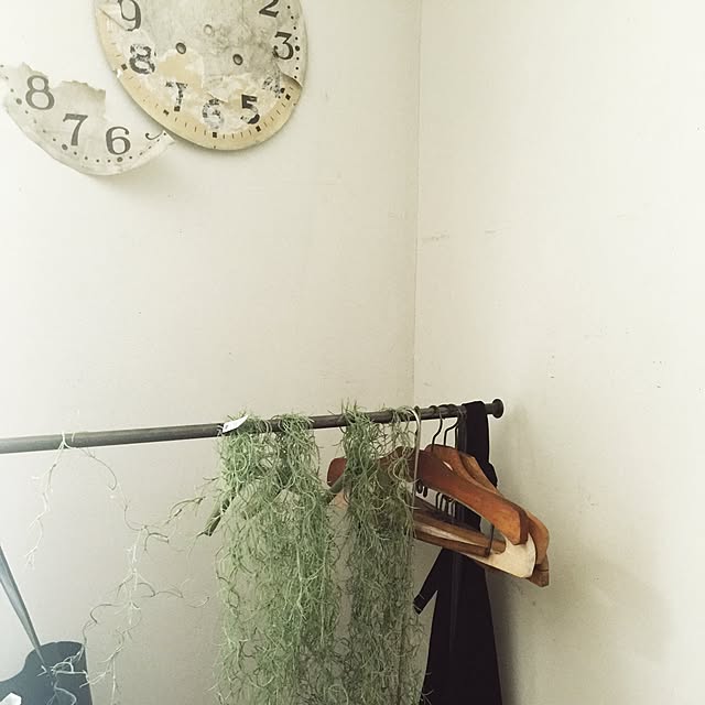 Rincsheさんの実例写真