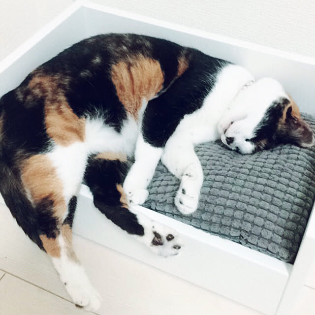 akaneさんの実例写真