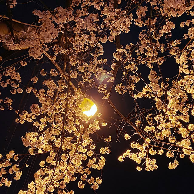 ayumiさんの部屋