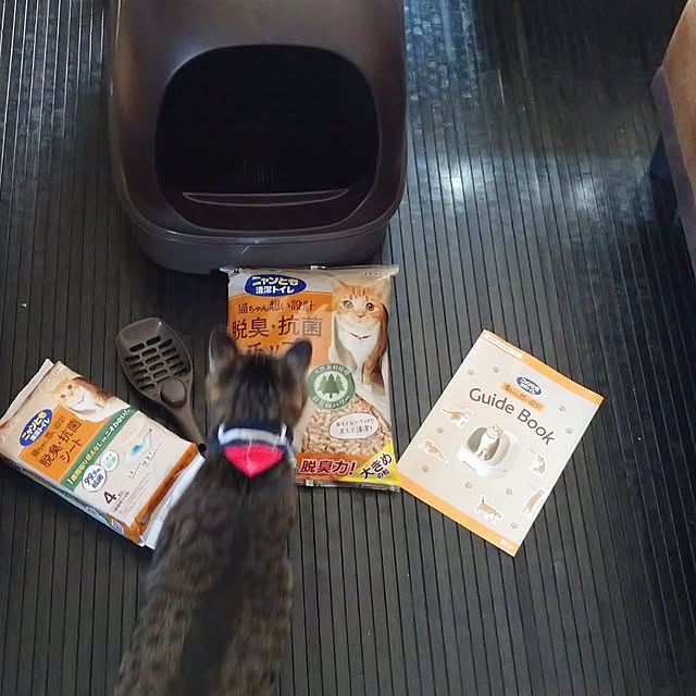 raraさんの実例写真