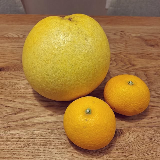 otokiさんの実例写真