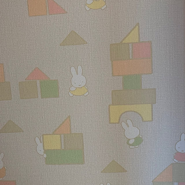 Nanakoさんの部屋