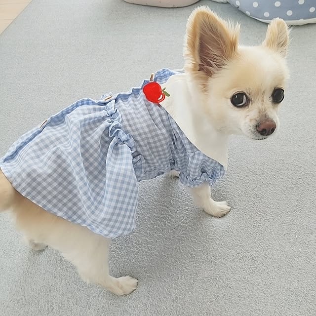 PAOさんの部屋