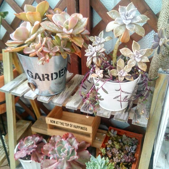 VERANDARJUNさんの実例写真