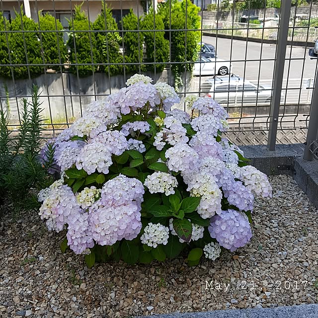masarinn.さんの実例写真