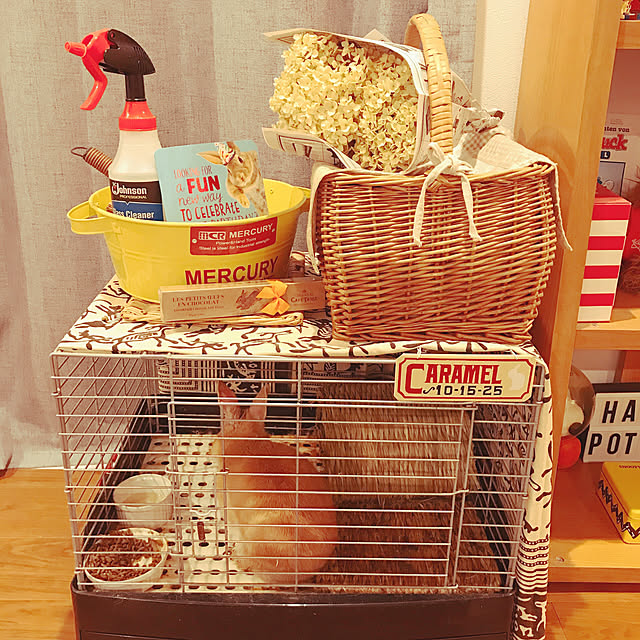 rayco_23さんの実例写真