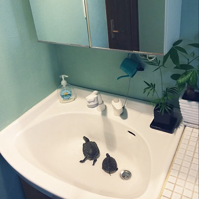 rinaonさんの実例写真