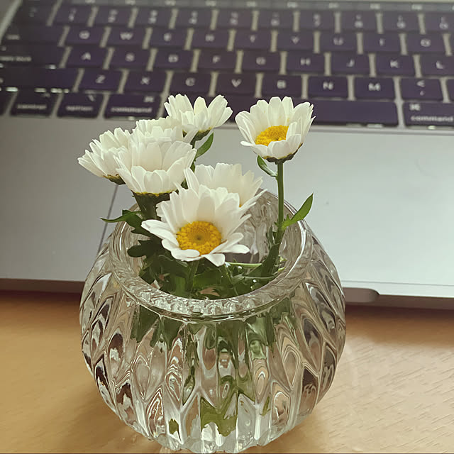 Chitさんの実例写真