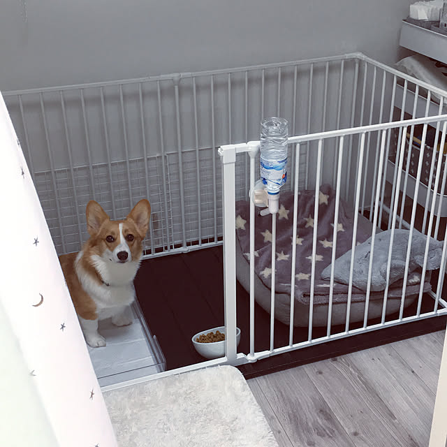 3ayuさんの実例写真