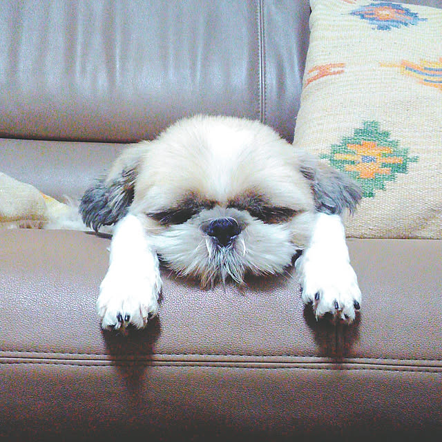 maruさんの実例写真