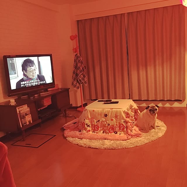 suguruさんの実例写真
