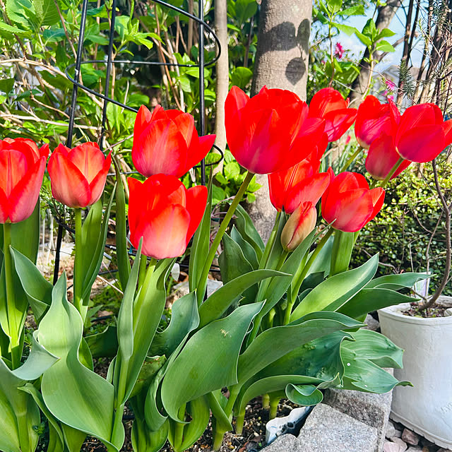 sunabaさんの部屋