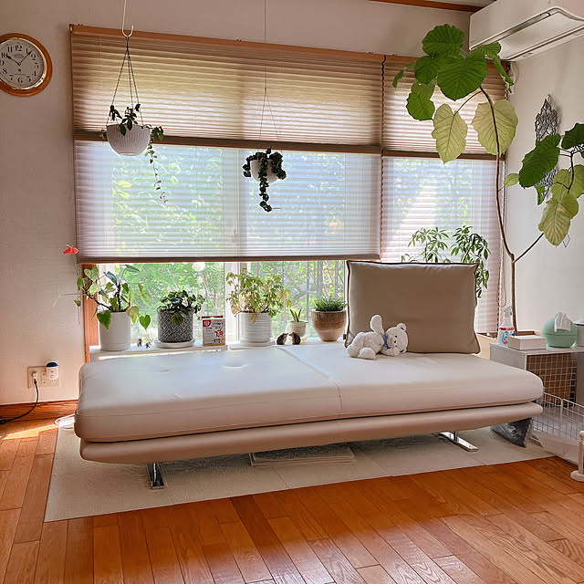 Tupemamaさんの実例写真