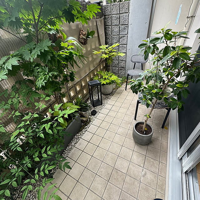 umai-bさんの部屋