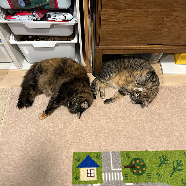 mikomaruさんの部屋