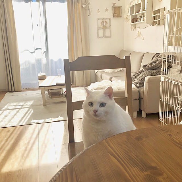 kaoさんの実例写真