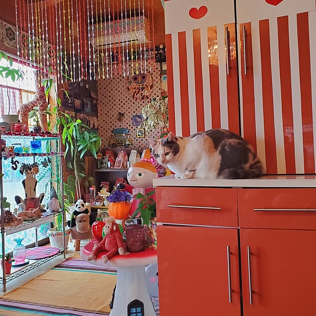 kumutanさんの部屋