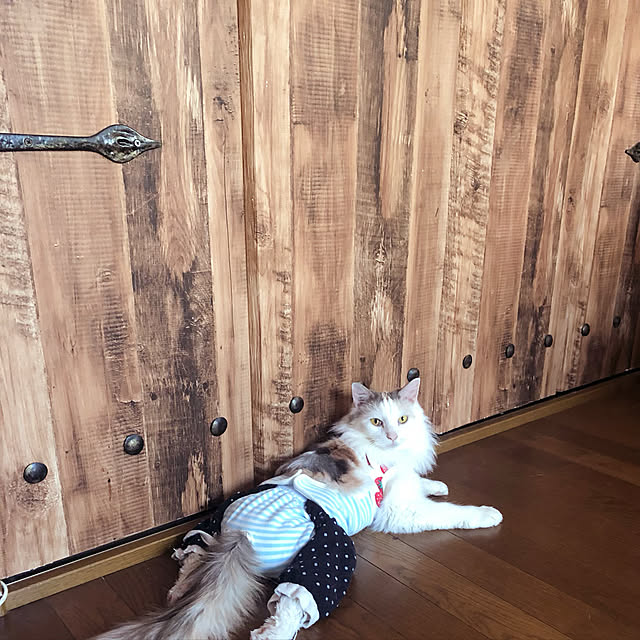 nakayoshinyankoさんの実例写真