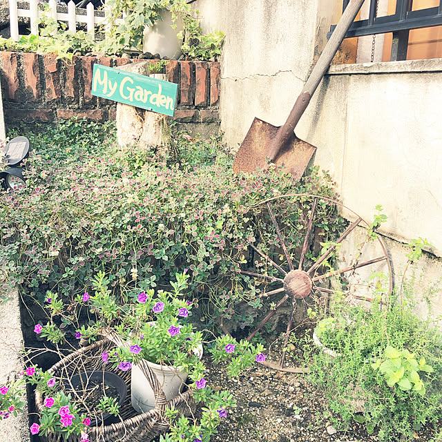 mieさんの実例写真