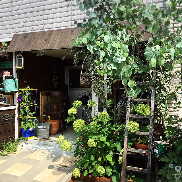 eriさんの実例写真