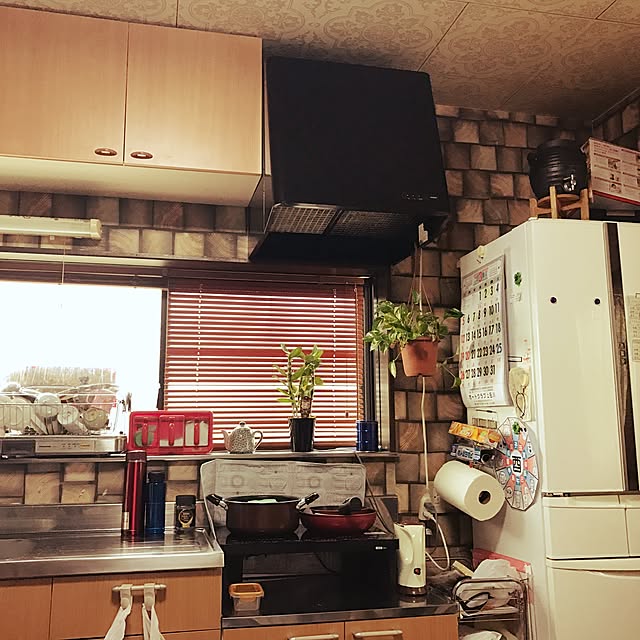 minomushiさんの実例写真