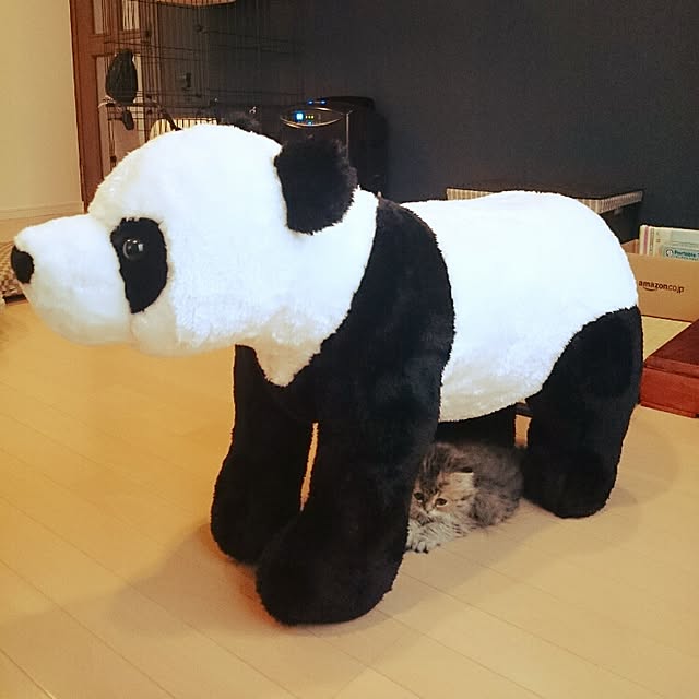 hanaさんの実例写真